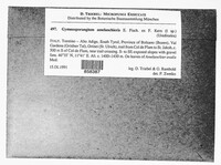 Image Associated With the Occurence
